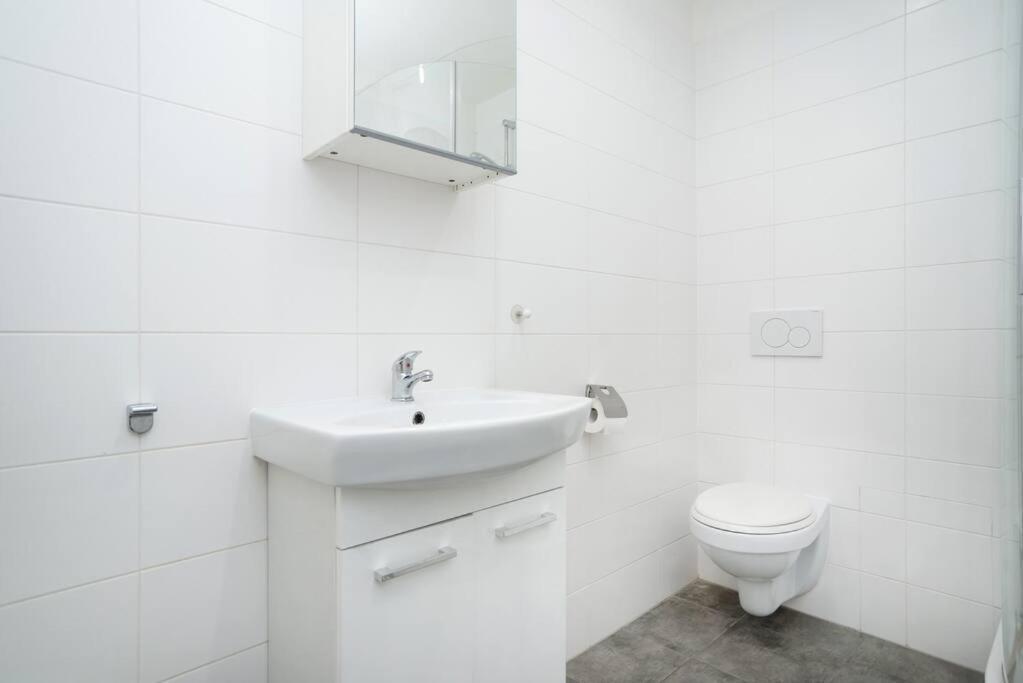 Bright, Spacious In The Historic Centre Apartament Praga